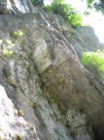 IMG_8583.jpg
